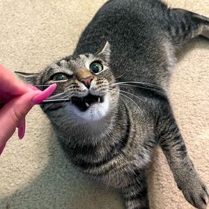 Meet your Posher, Nina